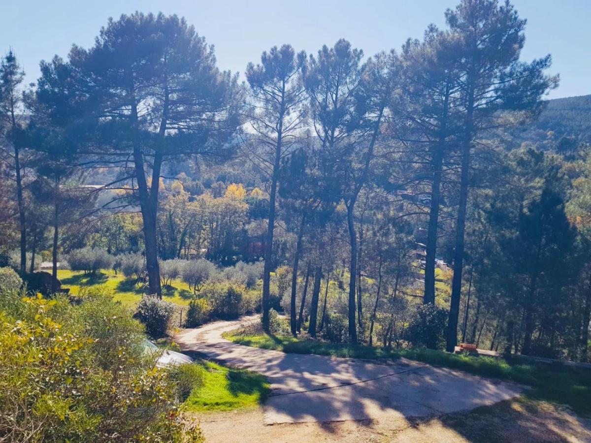 Casa Paco De Gredos Villa Arenas de San Pedro Eksteriør bilde